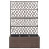 Trellis Raised Bed with 3 Pots 32.7"x11.8"x51.2" Poly Rattan Brown