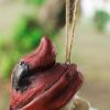 Hanging Gnome Decorative Bird Feeder