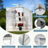 Greenhouse 6X6FT Sliver