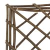 Garden Trellises 6 pcs 11.8"x47.2" Willow