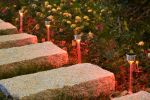 Solar Landscape Lights Transparent Decorative Waterproof, 10 Pack Solar Powered Pathway Lights